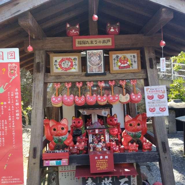 招霊赤猫社の参拝記録2