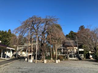 塩竈神社（御嶽神社境内社）の参拝記録(たかさん)