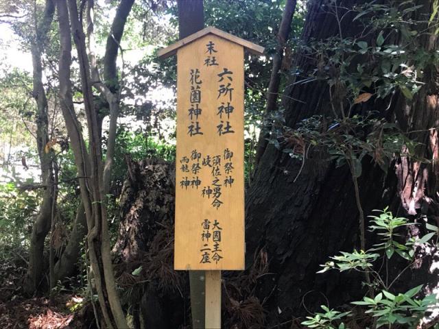 花園神社 六所神社の参拝記録(さくらもちさん)