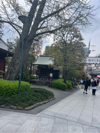 三峰神社の参拝記録(⛩️🎠🐢まめ🐢🎠⛩️さん)