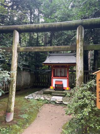 鹿島新宮の参拝記録(⛩️🐍🐢まめ🐢🐍⛩️さん)