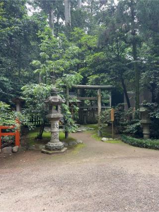 鹿島新宮の参拝記録(⛩️🐍🐢まめ🐢🐍⛩️さん)