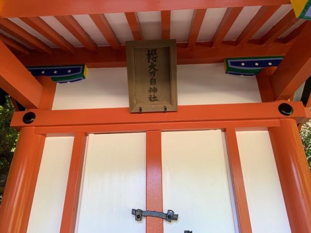 千葉県香取市香取1697-1 櫻大刀自神社の写真3