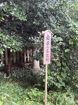 櫻大刀自神社の参拝記録(⛩️🐉🐢まめ🐢🐉⛩️さん)