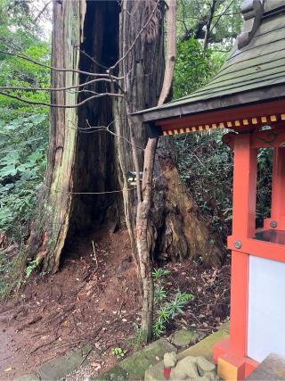 押手神社(香取神宮 奥宮)の参拝記録(⛩️🐉🐢まめ🐢🐉⛩️さん)