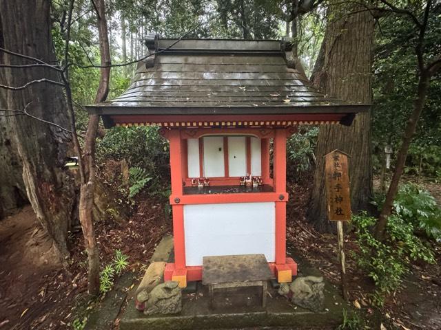 押手神社(香取神宮 奥宮)の参拝記録5