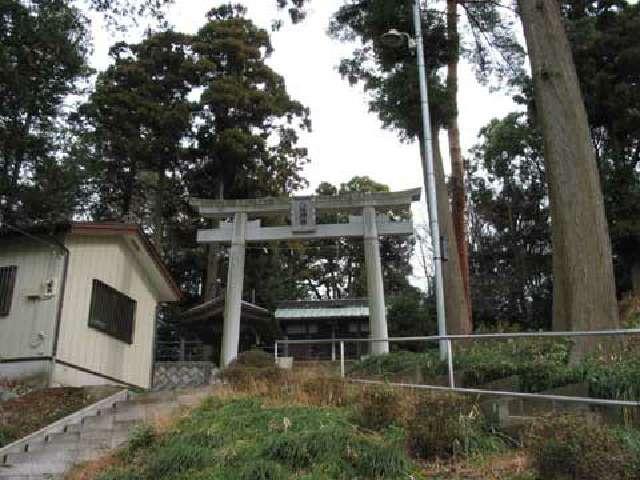 神奈川県海老名市勝瀬9-1 八坂神社の写真3