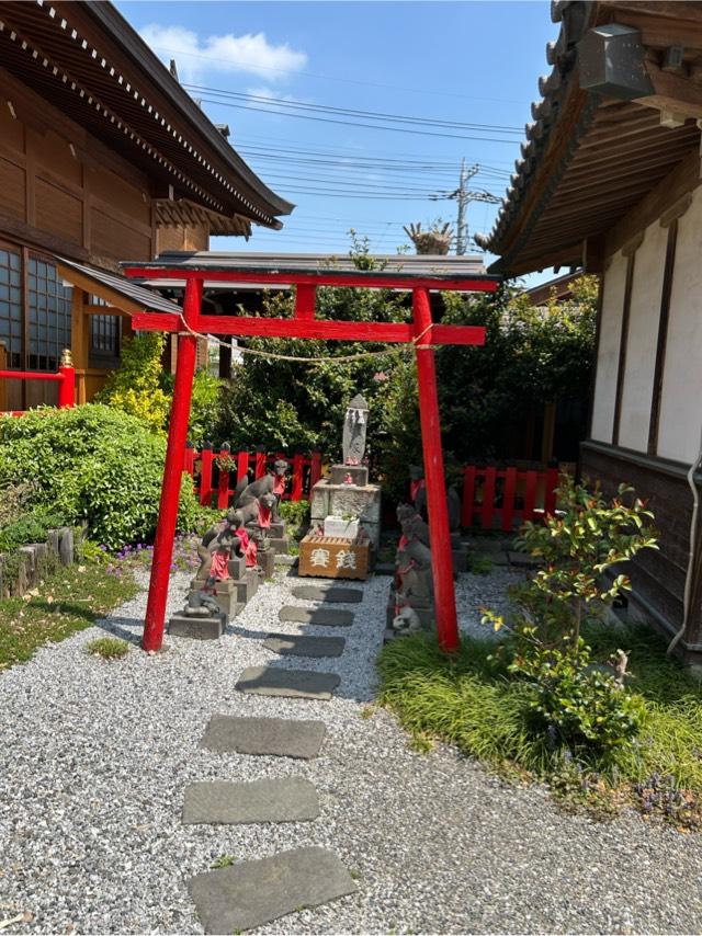 白狐社（於菊稲荷神社）の参拝記録6