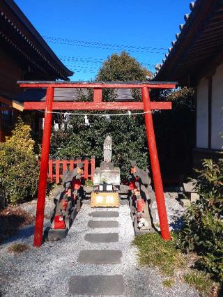 白狐社（於菊稲荷神社）の参拝記録(かなさん)