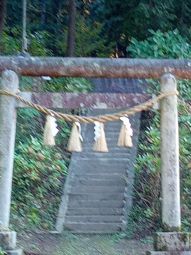 太平神社の参拝記録(リックさん)