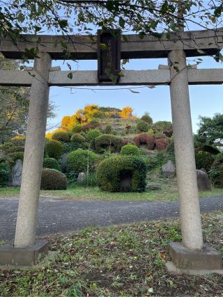 八坂神社の参拝記録(せきちゃんさん)