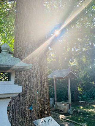 八坂神社の参拝記録(shikigami_hさん)