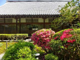 新善光寺　愛染堂の参拝記録(くまたろうさん)