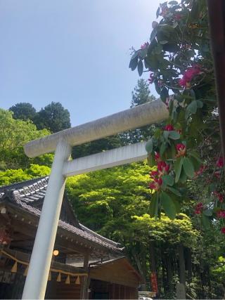 御岩神社の参拝記録(Ritsu1969さん)