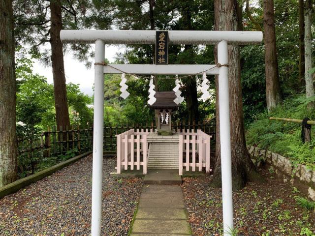 茨城県日立市宮田5-1-1 愛宕神社の写真1
