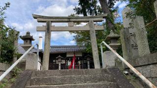 厳島神社 (天理市布留町)の参拝記録(すったもんださん)