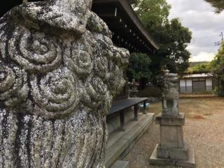 市座神社の参拝記録(すったもんださん)