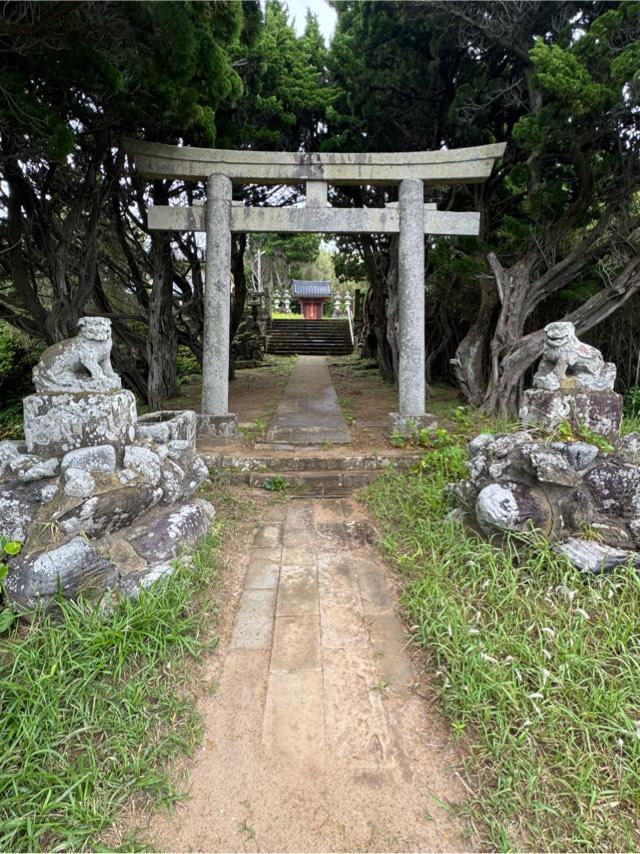 大杉神社の参拝記録2