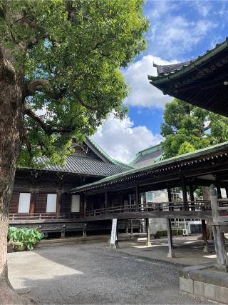 帝釈天 釈迦堂の参拝記録(ふうりんパパさん)