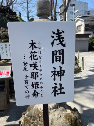 浅間神社の参拝記録(⛩️🎠🐢まめ🐢🎠⛩️さん)