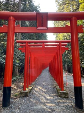 南宮稲荷神社の参拝記録(二代目無宿さん)