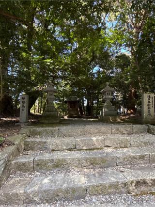南宮稲荷神社の参拝記録(コットンさん)