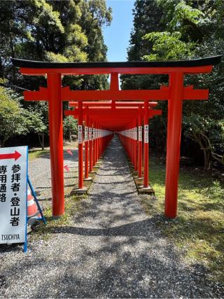 南宮稲荷神社の参拝記録(ひくさん)