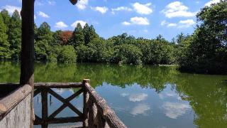 三宝寺池厳島神社の参拝記録(オトギリルさん)