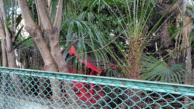 稲荷神社の参拝記録1