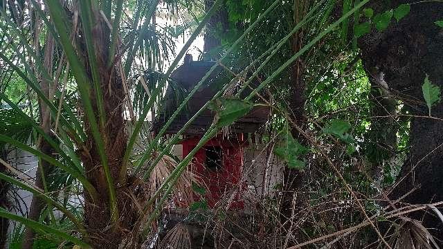 稲荷神社の参拝記録1
