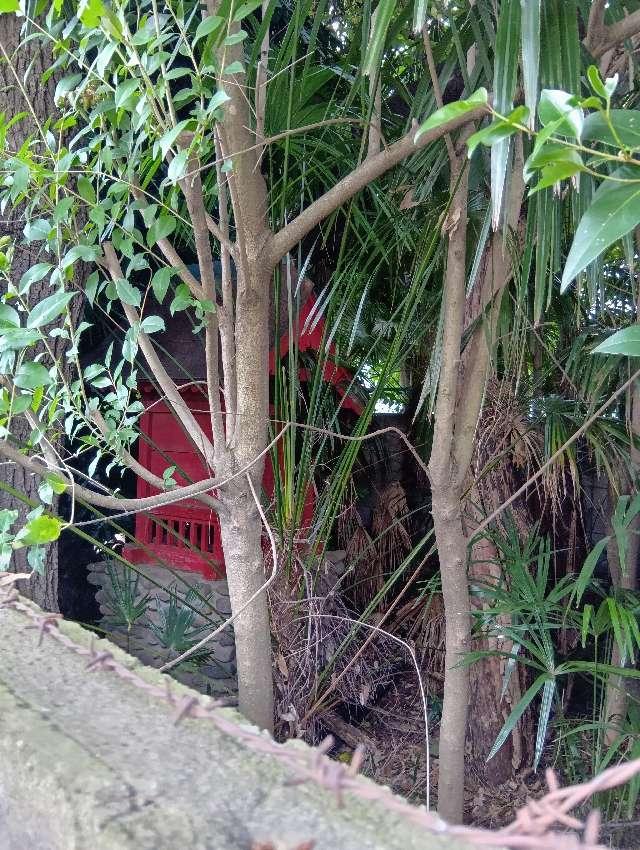 稲荷神社の参拝記録1