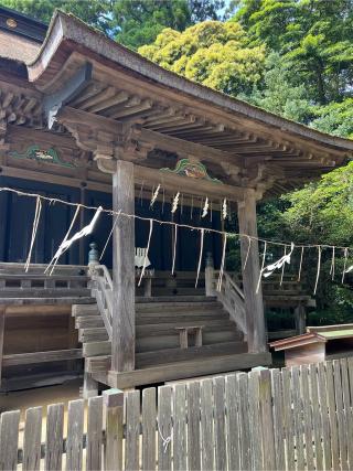 鹿島神宮仮殿の参拝記録(⛩️🐍🐢まめ🐢🐍⛩️さん)