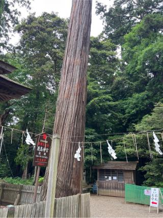 鹿島神宮仮殿の参拝記録(⛩️🐍🐢まめ🐢🐍⛩️さん)