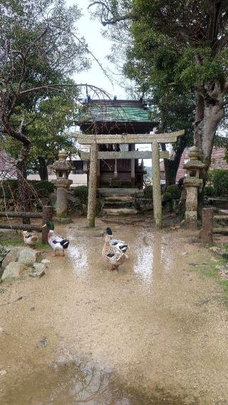 厳島社（住吉神社境内社)の参拝記録(りょうまさん)