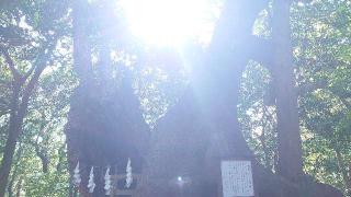 稲荷神社（住吉神社境内社)の参拝記録(matsuyoshi49さん)