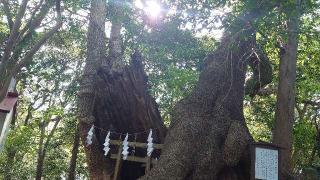 稲荷神社（住吉神社境内社)の参拝記録(matsuyoshi49さん)