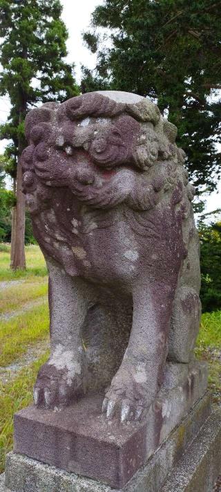 諏訪神社の参拝記録(モスコットさん)