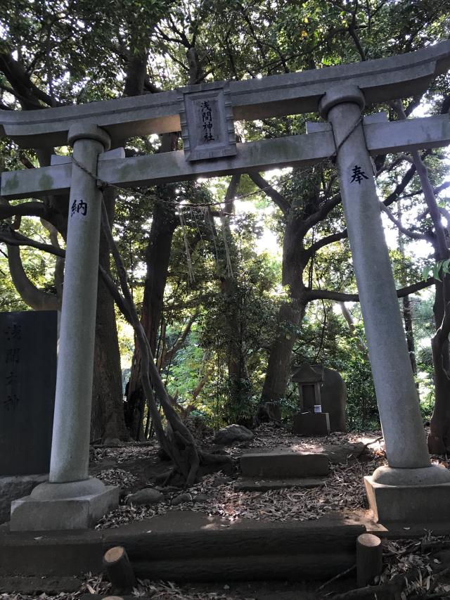 千葉県印西市小林浅間3-1 浅間神社の写真1
