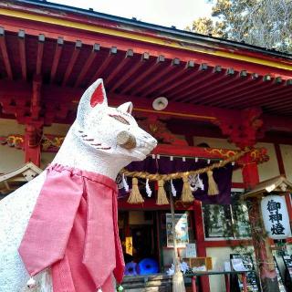 若草稲荷神社の参拝記録(桃さん)