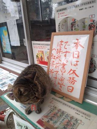 若草稲荷神社の参拝記録(桃さん)