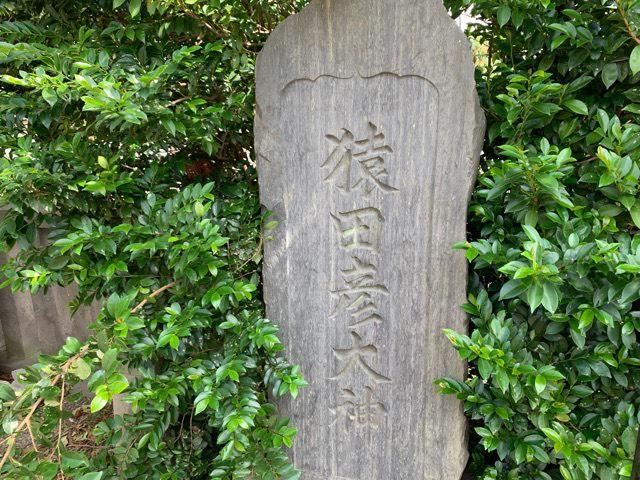 茨城県結城市195 猿田彦神社(健田須賀神社境内社)の写真3