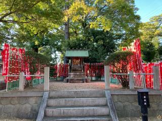 安城七夕神社の参拝記録(恭子さん)