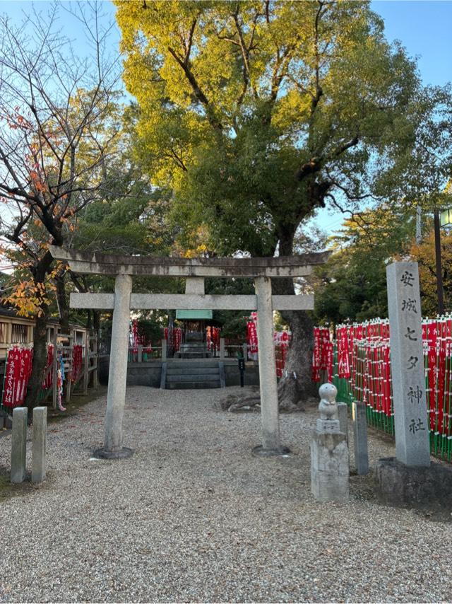 安城七夕神社の参拝記録5