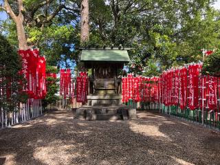 安城七夕神社の参拝記録(田中さん)