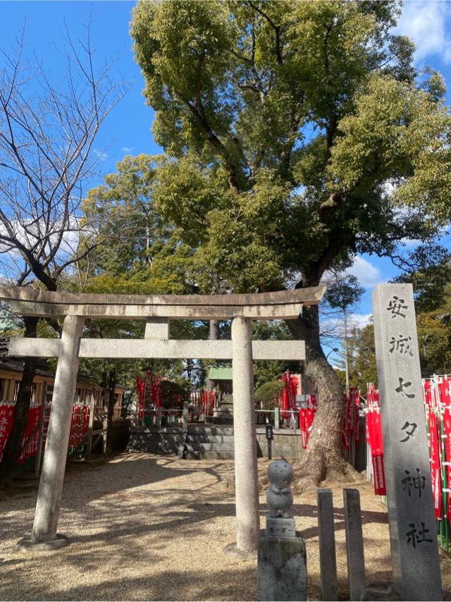 安城七夕神社の参拝記録6