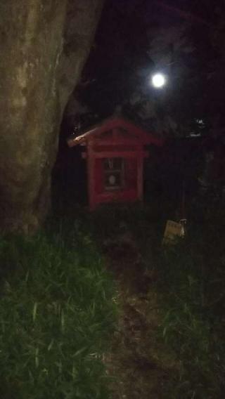 伏見稲荷神社の参拝記録(くろさん)