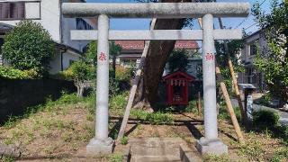 伏見稲荷神社の参拝記録(まっちゃんさん)