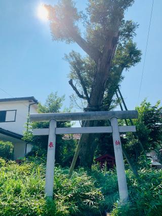 伏見稲荷神社の参拝記録(shikigami_hさん)