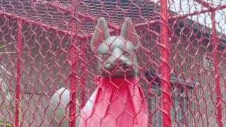 王森稲荷神社の参拝記録(miyumikoさん)