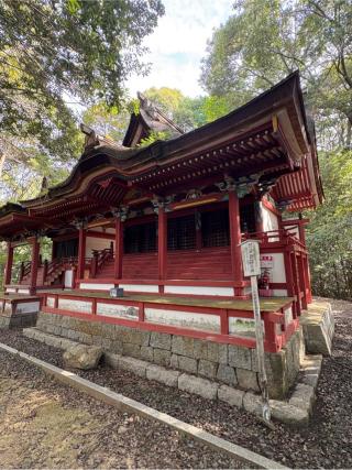丹生 高野 両大明神の参拝記録(満次さん)